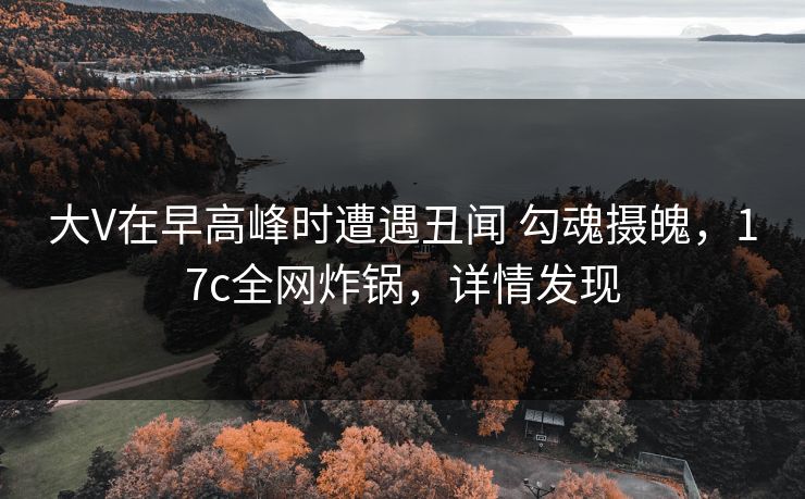 大V在早高峰时遭遇丑闻 勾魂摄魄,17c全网炸锅,详情发现